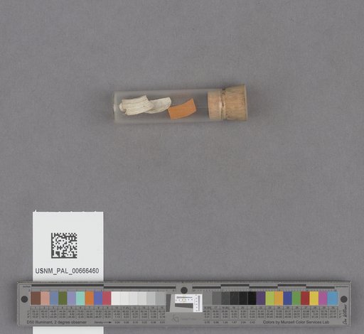 NSF ADBC EPICC TCN