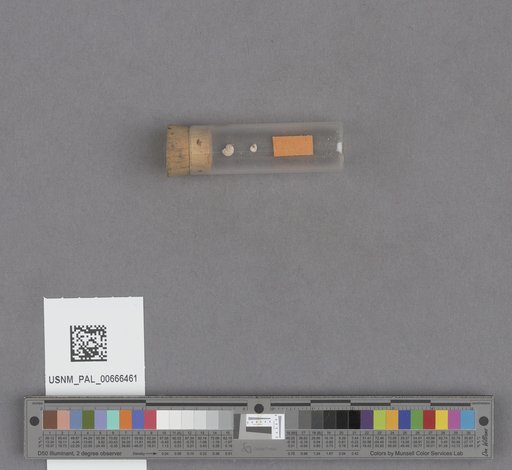 NSF ADBC EPICC TCN