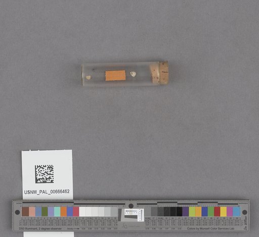 NSF ADBC EPICC TCN