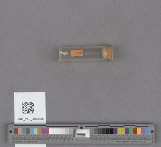 NSF ADBC EPICC TCN