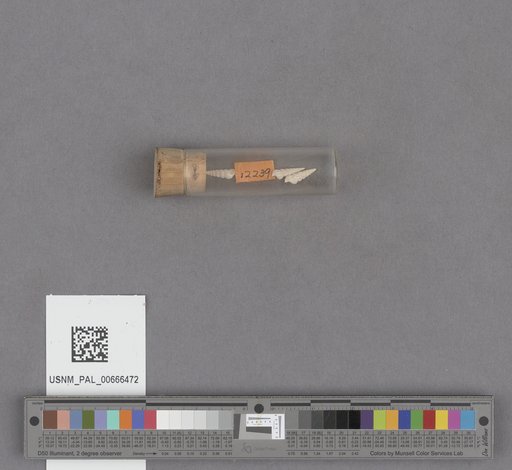 NSF ADBC EPICC TCN