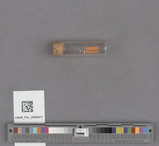 NSF ADBC EPICC TCN