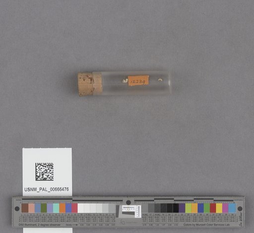 NSF ADBC EPICC TCN