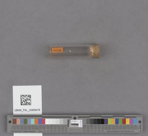 NSF ADBC EPICC TCN