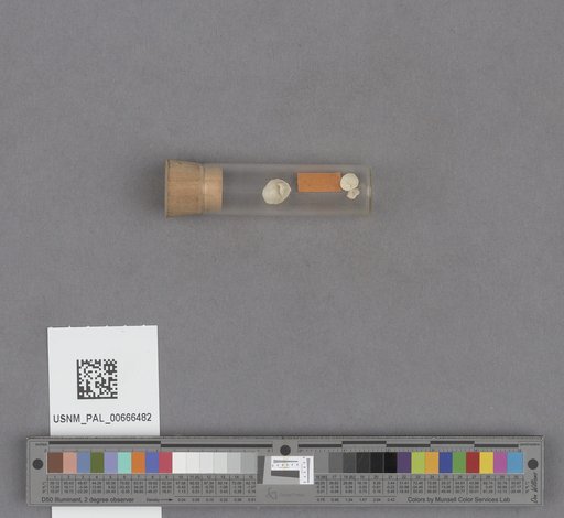 NSF ADBC EPICC TCN