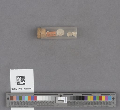 NSF ADBC EPICC TCN