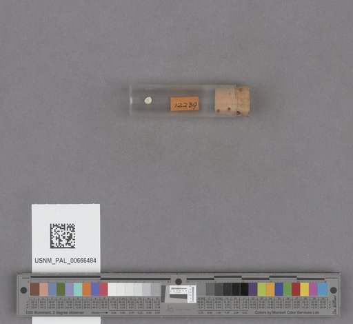 NSF ADBC EPICC TCN