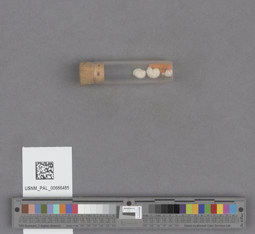 NSF ADBC EPICC TCN