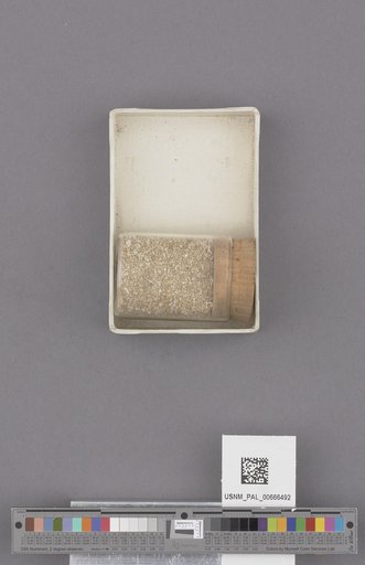 NSF ADBC EPICC TCN