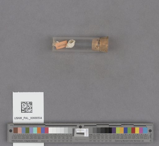 NSF ADBC EPICC TCN