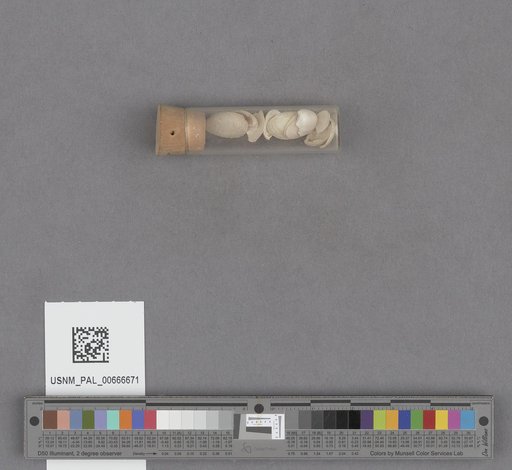 NSF ADBC EPICC TCN