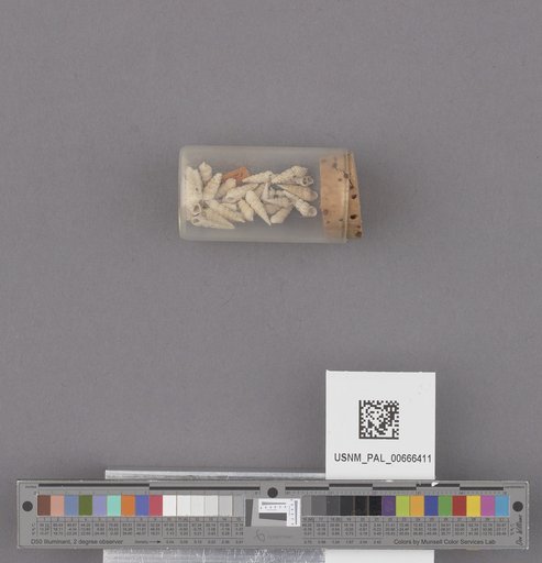 NSF ADBC EPICC TCN
