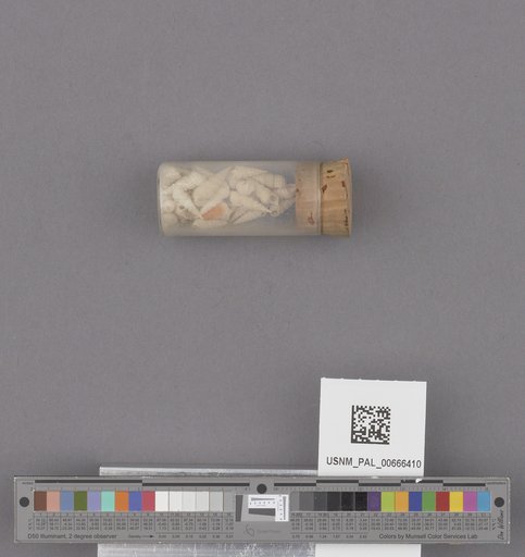 NSF ADBC EPICC TCN