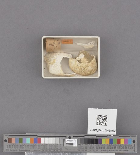 NSF ADBC EPICC TCN