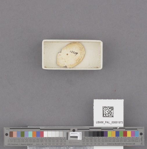NSF ADBC EPICC TCN