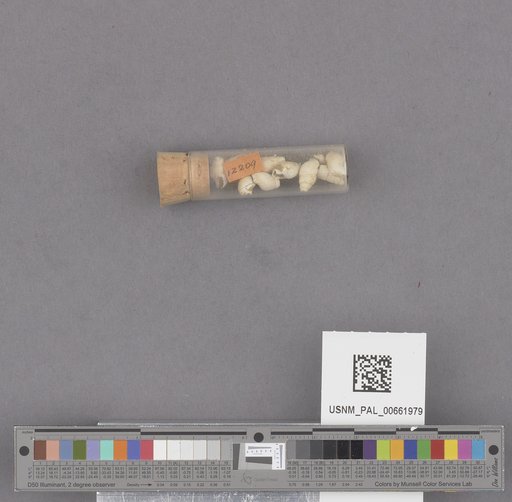 NSF ADBC EPICC TCN