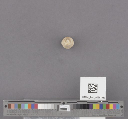 NSF ADBC EPICC TCN