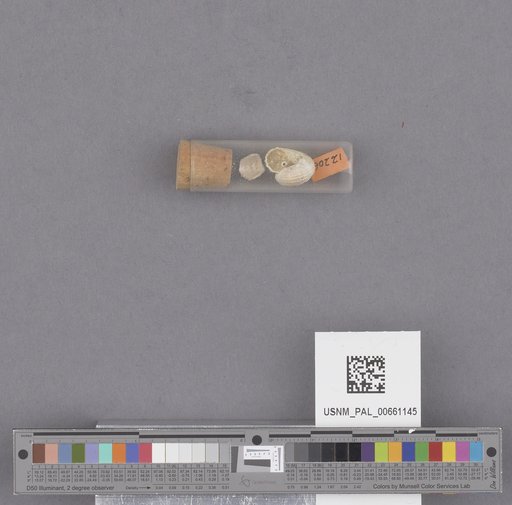 NSF ADBC EPICC TCN