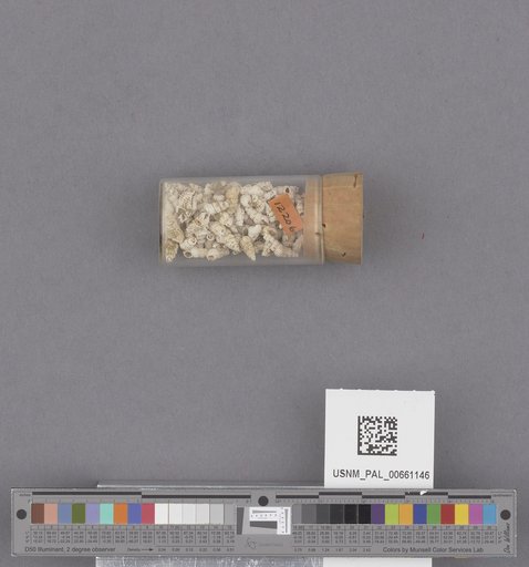 NSF ADBC EPICC TCN