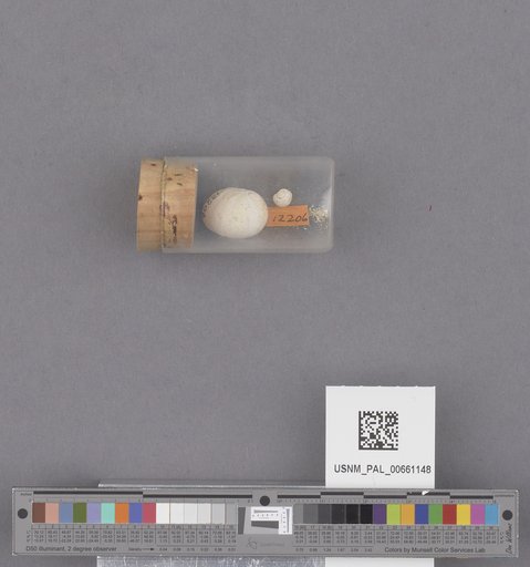 NSF ADBC EPICC TCN