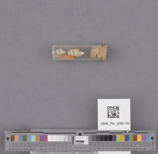 NSF ADBC EPICC TCN