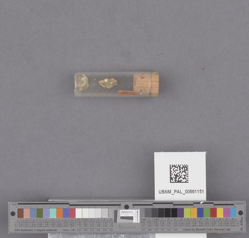 NSF ADBC EPICC TCN