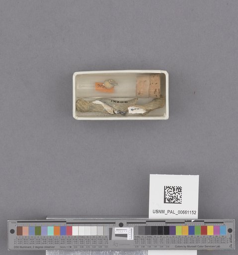 NSF ADBC EPICC TCN