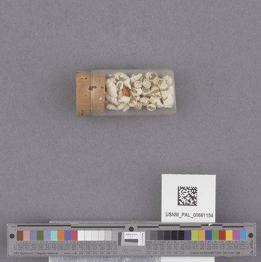 NSF ADBC EPICC TCN