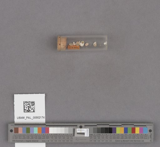 NSF ADBC EPICC TCN