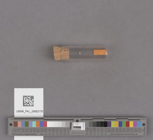 NSF ADBC EPICC TCN