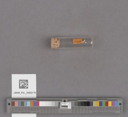 NSF ADBC EPICC TCN