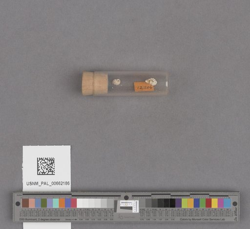 NSF ADBC EPICC TCN