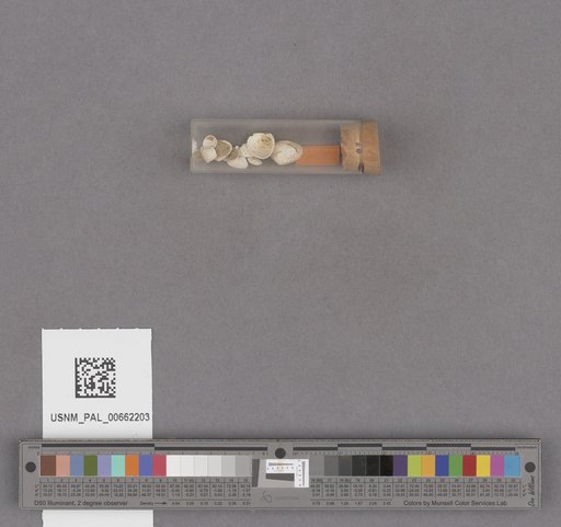 NSF ADBC EPICC TCN