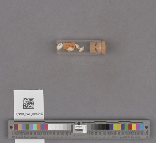 NSF ADBC EPICC TCN