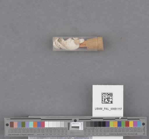 NSF ADBC EPICC TCN