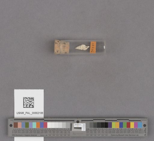 NSF ADBC EPICC TCN