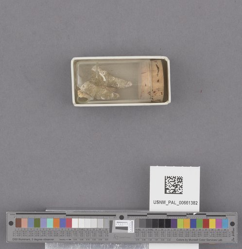 NSF ADBC EPICC TCN