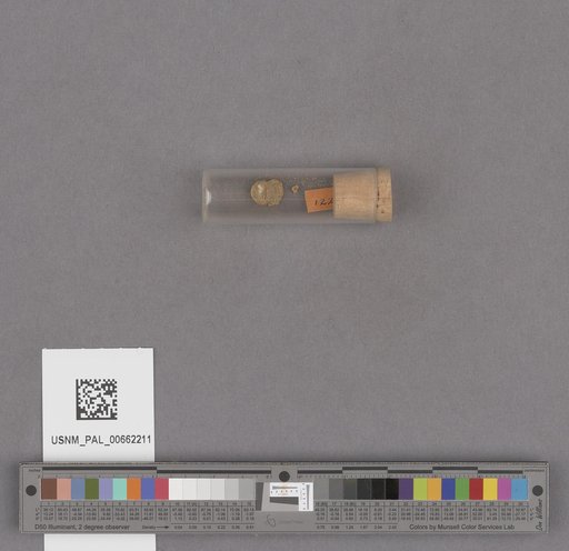 NSF ADBC EPICC TCN