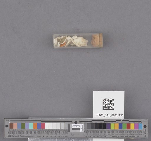 NSF ADBC EPICC TCN