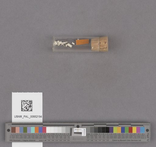 NSF ADBC EPICC TCN