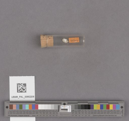 NSF ADBC EPICC TCN