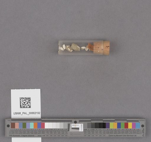 NSF ADBC EPICC TCN