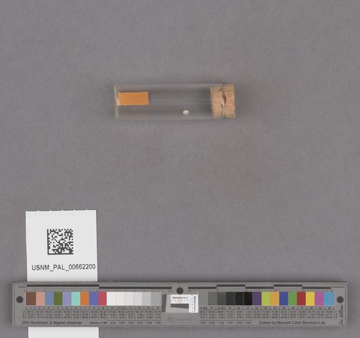 NSF ADBC EPICC TCN