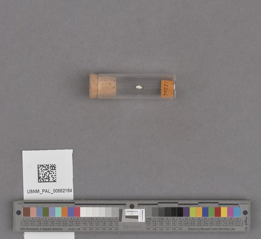 NSF ADBC EPICC TCN