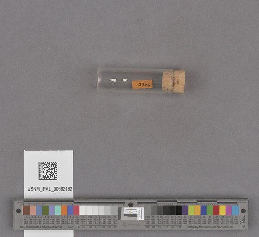 NSF ADBC EPICC TCN
