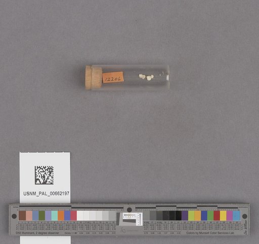 NSF ADBC EPICC TCN