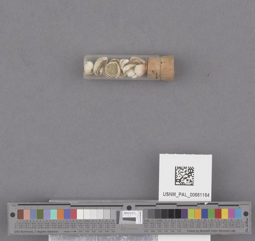 NSF ADBC EPICC TCN