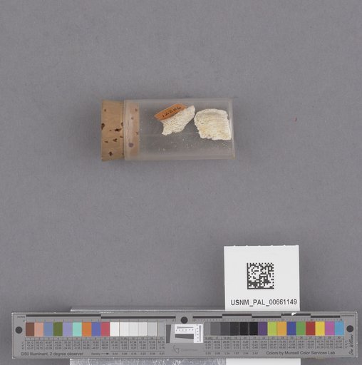 NSF ADBC EPICC TCN