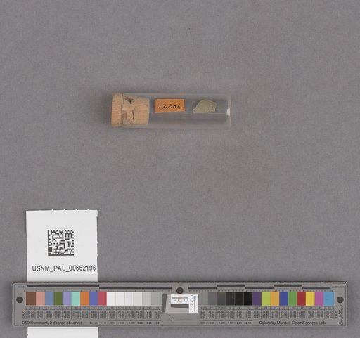 NSF ADBC EPICC TCN