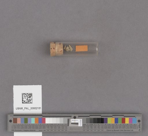 NSF ADBC EPICC TCN
